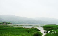 隴南西和晚霞湖旅遊攻略之濕地觀賞區
