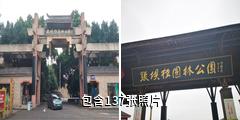 泸州张坝桂圆林驴友相册