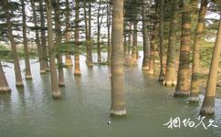 无锡市太湖花卉园旅游攻略之湿地生态