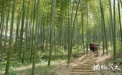 泰安徂徠山國家森林公園旅遊攻略之竹園
