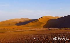 新疆吐鲁番旅游攻略之沙漠生态旅游风景区