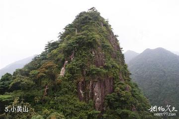 南岭国家级自然保护区-小黄山照片