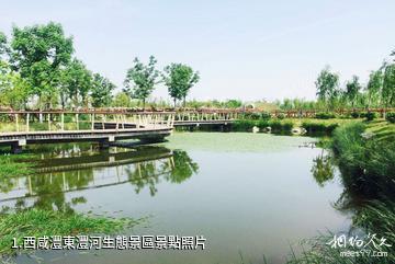西咸灃東灃河生態景區照片