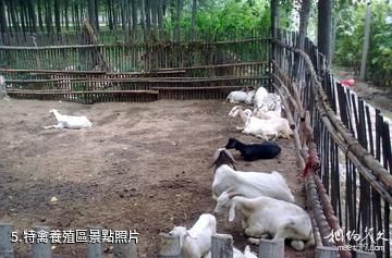 徐州桃花源休閑農莊-特禽養殖區照片