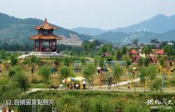 泰山天庭樂園(已關閉)-自摘園照片