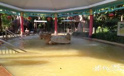 惠州龙门温泉旅游攻略之天然黄金泉蒸气浴