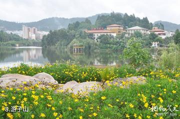 双柏查姆湖旅游景区-游子山照片