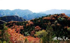 北京八達嶺國家森林公園旅遊攻略之紅葉嶺風景區
