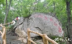 遼寧新賓和睦國家森林公園旅遊攻略之神龜下山