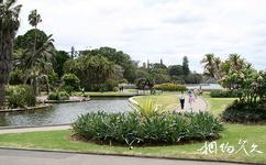 澳大利亚悉尼旅游攻略之皇家植物园