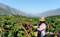 高黎贡勐赫小镇旅游攻略之“中国咖啡第一村”新寨村