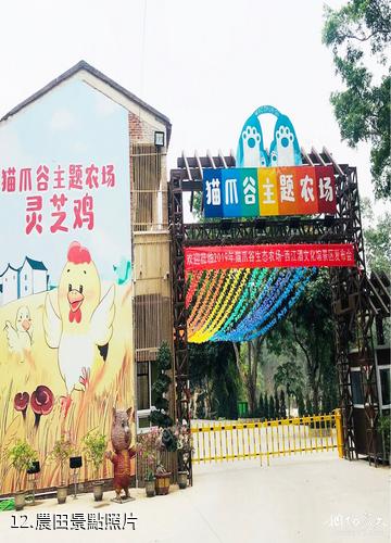 肇慶貓爪谷景區-農田照片
