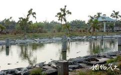 马来西亚兰卡威群岛旅游攻略之鳄鱼场