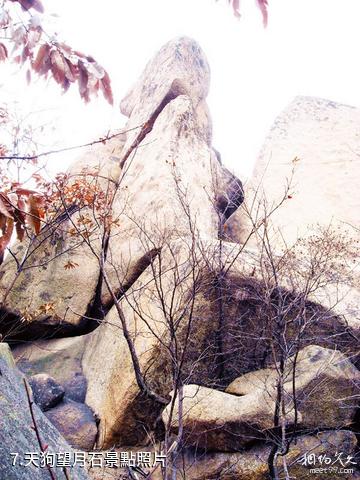 湖北桐柏山太白頂風景名勝區-天狗望月石照片