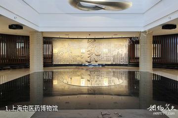 上海中医药博物馆照片