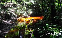 马来西亚姆禄国家公园旅游攻略之褐色水池
