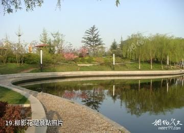 膠州三里河公園-柳影花堤照片
