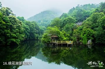 肇慶德慶盤龍峽生態景區-桃花湖照片
