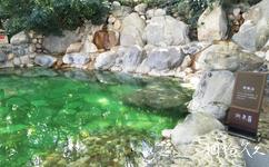 紅河彌勒湖泉生態園旅遊攻略之泡池