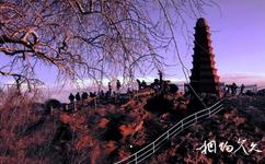 乌鲁木齐红山公园旅游攻略之塔映斜阳(红山塔)