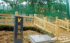 南京老山國家森林公園旅遊攻略之動植物科普園
