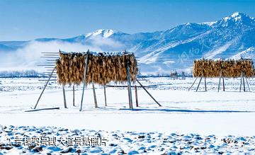 香格里拉藍月山谷旅遊區-青稞架景觀大道照片