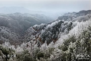 三门峡甘山国家森林公园-冬之景照片