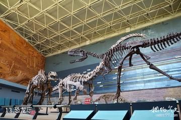 辽宁朝阳鸟化石国家地质公园-恐龙厅照片