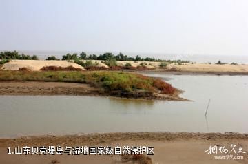 山东贝壳堤岛与湿地国家级自然保护区照片