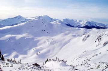 加拿大惠斯勒滑雪场-雪山照片