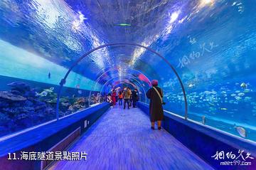 重慶漢海海洋公園-海底隧道照片