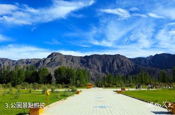 新疆烏什沙棘林濕地公園-公園照片