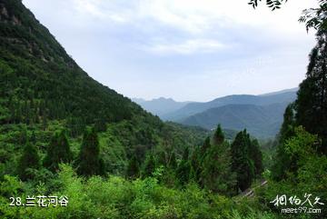 荥阳环翠峪风景区-兰花河谷照片