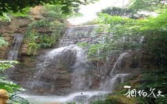 中科院华南植物园旅游攻略之中心瀑布景观区