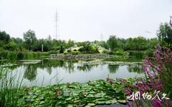 哈尔滨中国亭园旅游攻略之园林景观