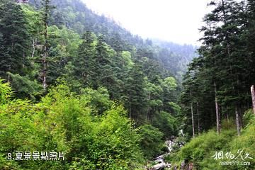 陝西長青國家級自然保護區-夏景照片