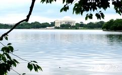 華盛頓傑斐遜紀念堂旅遊攻略之湖泊