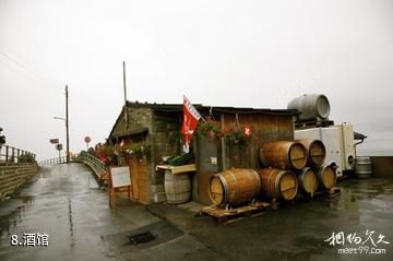 瑞士拉沃葡萄园-酒馆照片