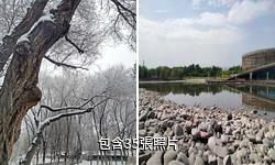奎屯潤民生態園驢友相冊