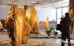 上海木文化博物馆旅游攻略之古木之韵