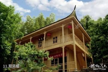 安庆白崖寨风景区-观凤楼照片