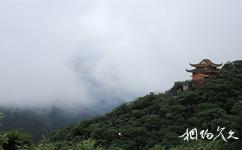 广西大明山国家级自然保护区旅游攻略