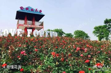 上海瑞华果园-玫瑰花海照片