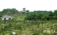 紫蓬山国家森林公园旅游攻略之亭台