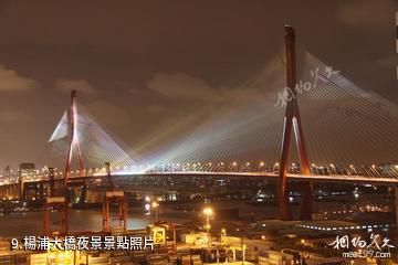 上海楊浦大橋-楊浦大橋夜景照片