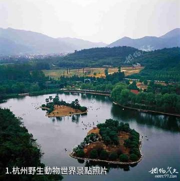 杭州野生動物世界照片