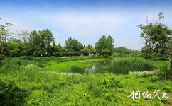 杭州西溪湿地洪园旅游攻略之生态西溪