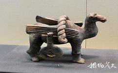 寧夏固原博物館旅遊攻略之《固原古代文明》