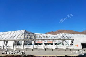 西藏自然博物馆照片