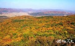 哈尔滨松峰山自然保护区旅游攻略